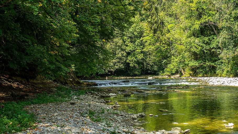 nature, landscape, forest, river, water, scenic, mystical, idyll HD wallpaper
