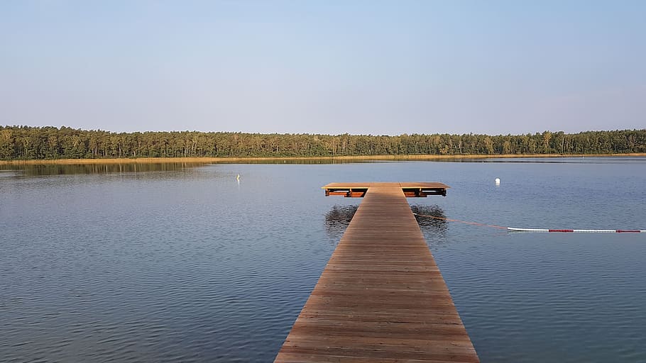 lake, web, summer, rest, idyllic, romantic, nature, water, boardwalk HD wallpaper