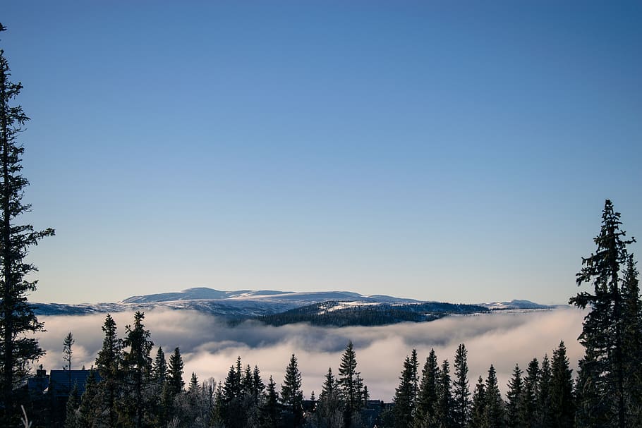 sweden, åre, sky, skyline, clouds, winter, morning, morning light HD wallpaper