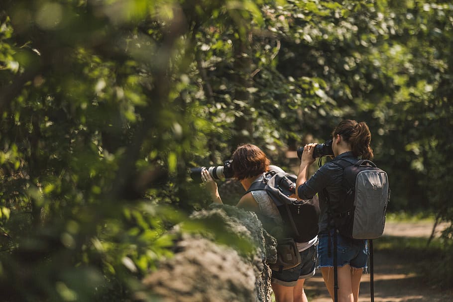 Nature Photographers Shooting Photo, Friends, Camera, People HD wallpaper