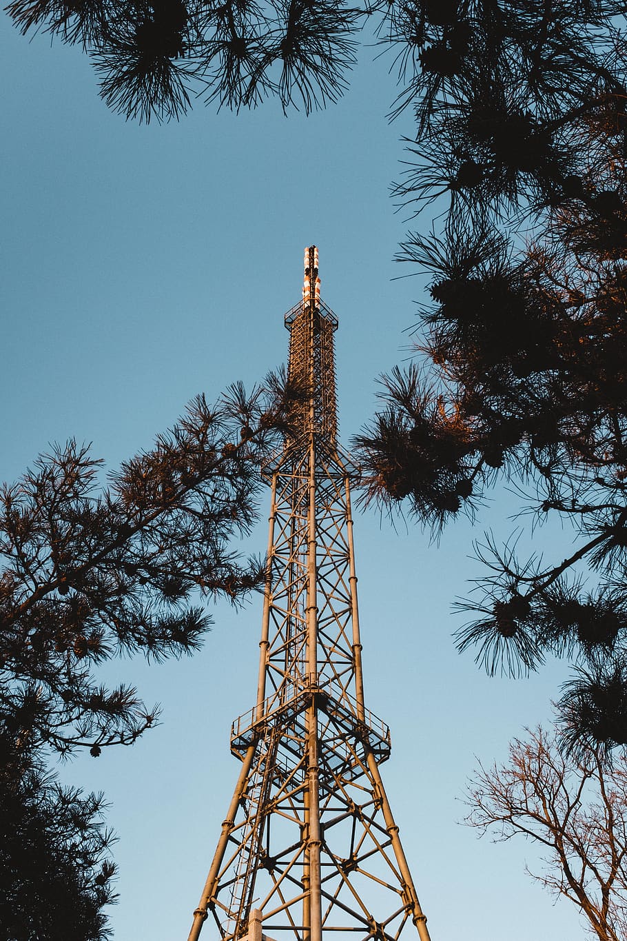 sky, tree, tower, sunset, winter, nature, fujifilm, travel HD wallpaper