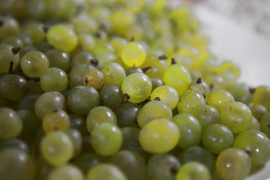 grapes, ceongpodo, fruit, chartreuse, korea, if acid, food and drink HD wallpaper