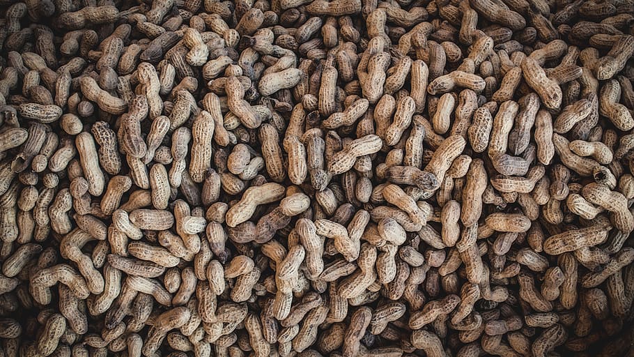 mexico, food, peanut, comida, mexicolindo, mexicoquerido, texturas, HD wallpaper