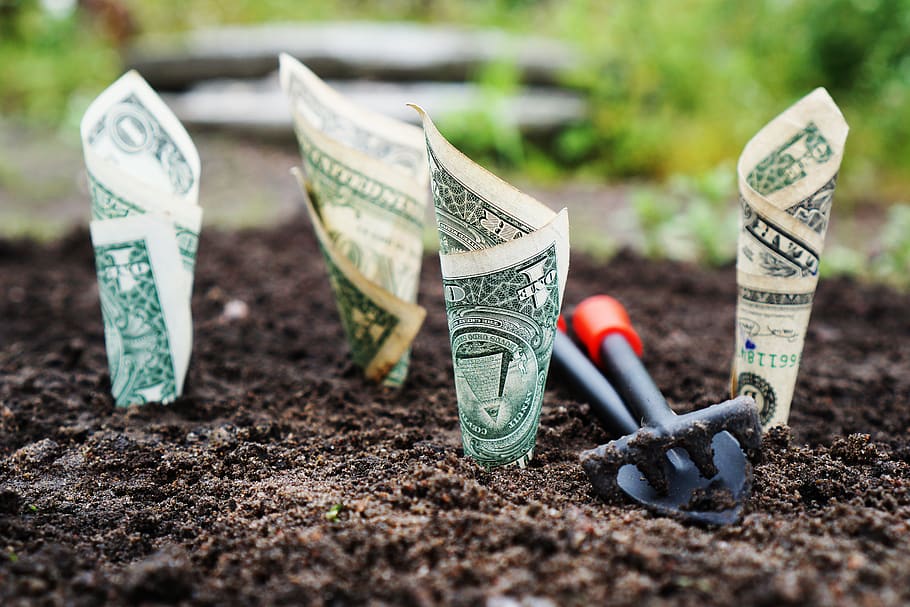 U.s Dollar Bills Pin Down on the Ground, bank notes, blur, close-up HD wallpaper