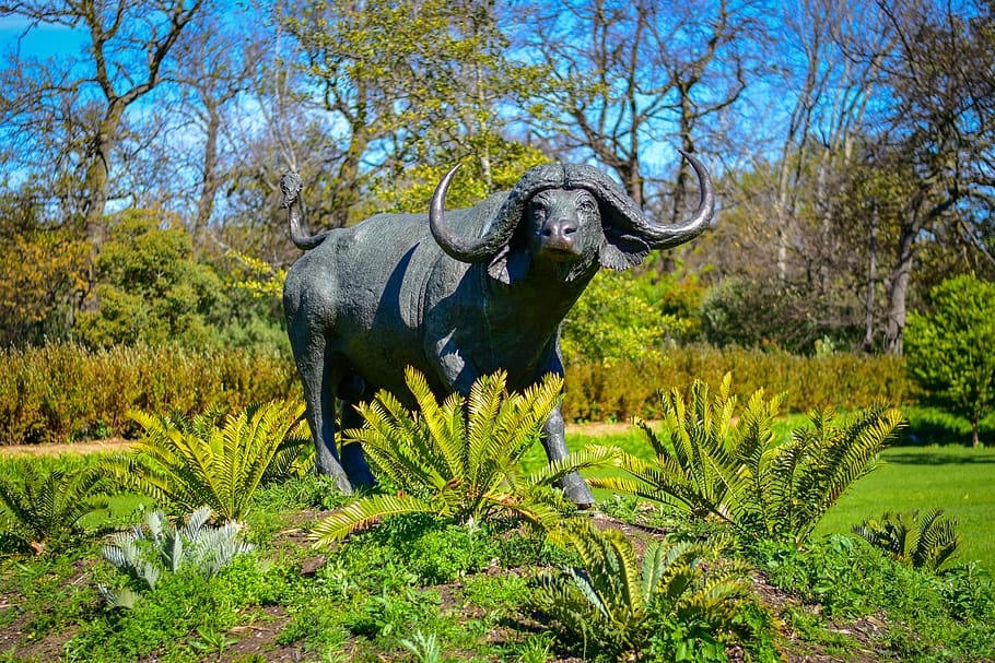 nature, statue, bull, trees, plants, animal, animal themes HD wallpaper
