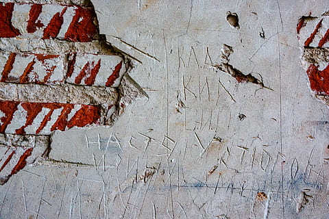 red and white textile, wall, brick, animal, bird, rug, bricks HD wallpaper