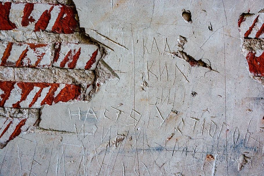 red and white textile, wall, brick, animal, bird, rug, bricks HD wallpaper