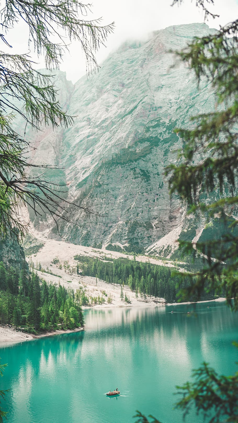 tree, mountain, lake, shore, boat, rowboat, people, forest HD wallpaper