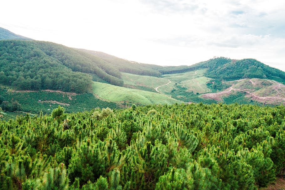 Landscape Photo of a Hill, clouds, cropland, daylight, environment HD wallpaper