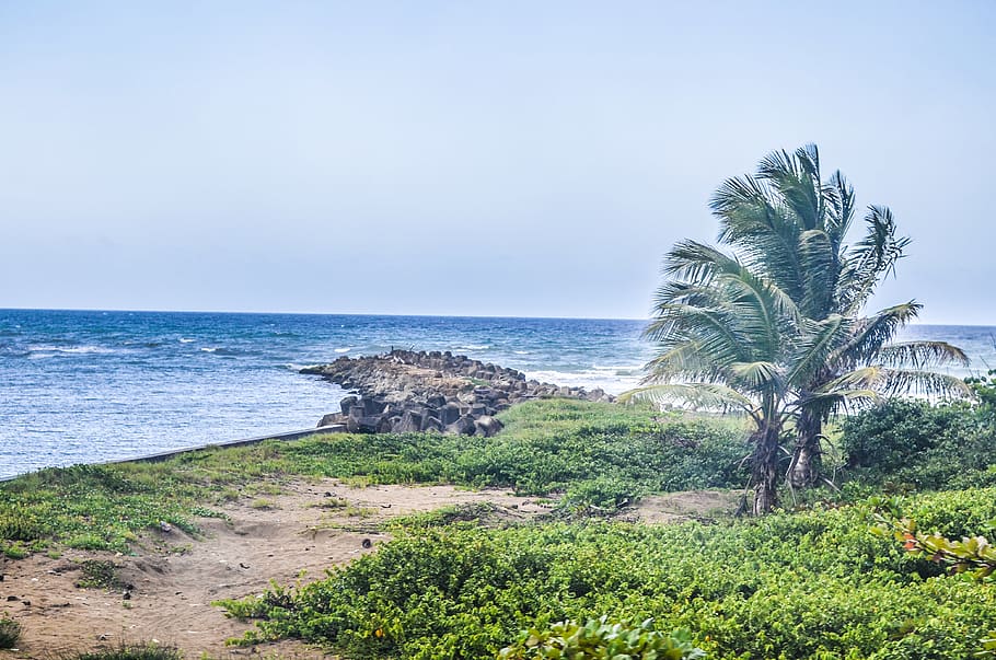 ocean, view, island, rocks, sky, beach, cloudy, dominican republic HD wallpaper