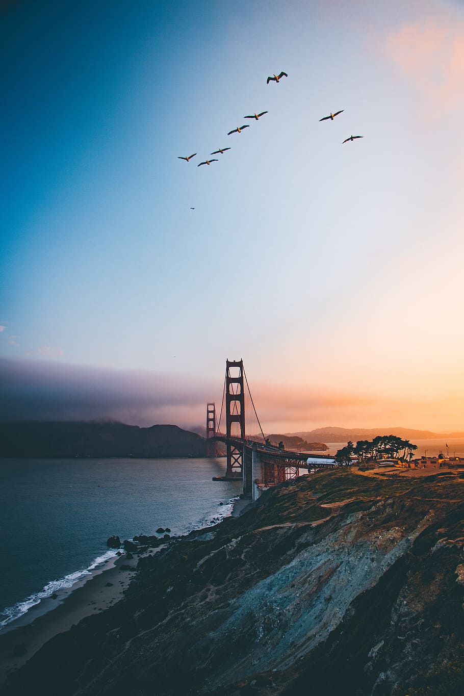 Golden Gate Bridge, San Francisco, bird, flock, sky, structure HD wallpaper