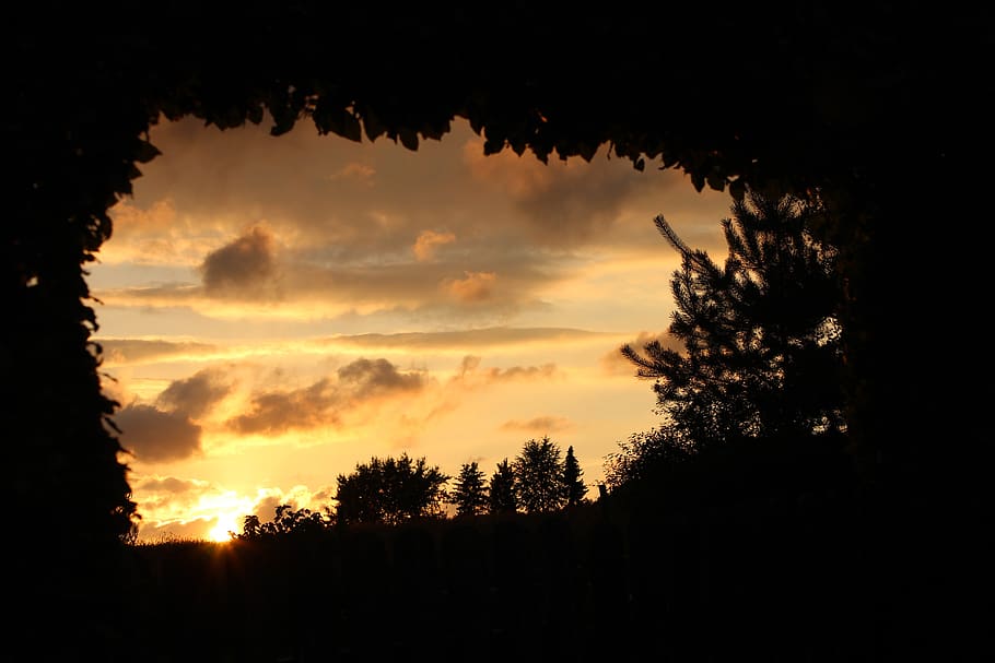 nature, sun, sunset, trees, summer, silhouette, sky, cloud - sky HD wallpaper