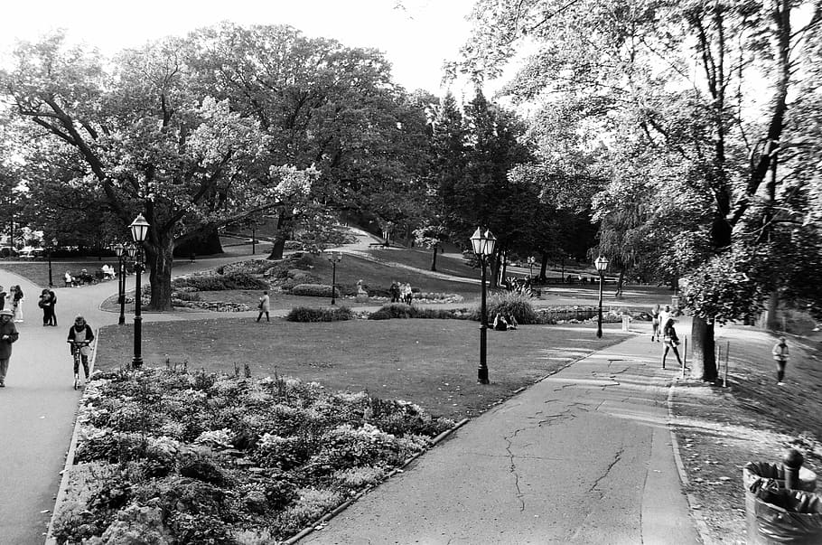 path, person, human, tree, plant, sidewalk, pavement, park HD wallpaper