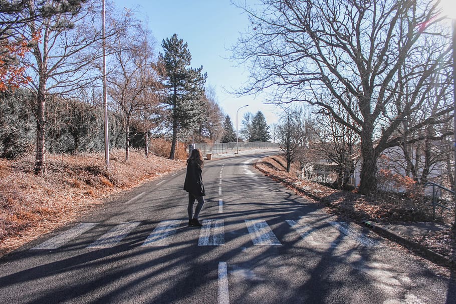 tree, plant, road, nature, one person, shadow, real people HD wallpaper