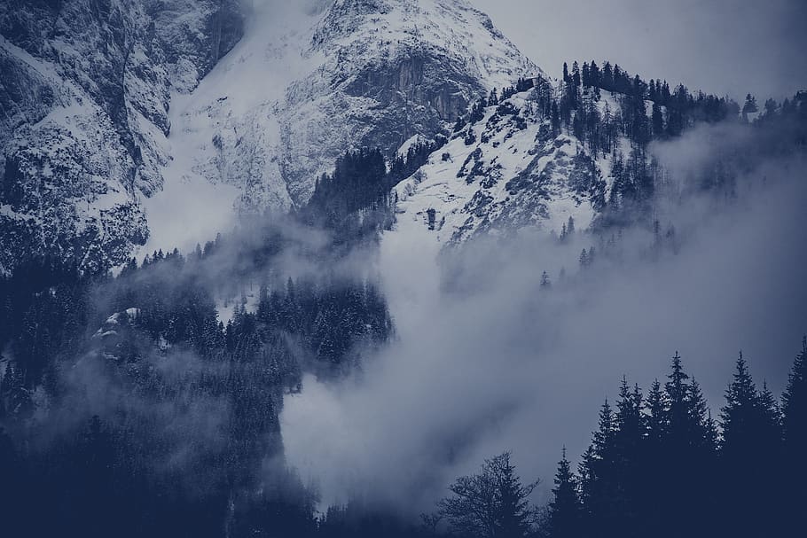 snow-covered mountain, nature, outdoors, tree, plant, abies, fir HD wallpaper