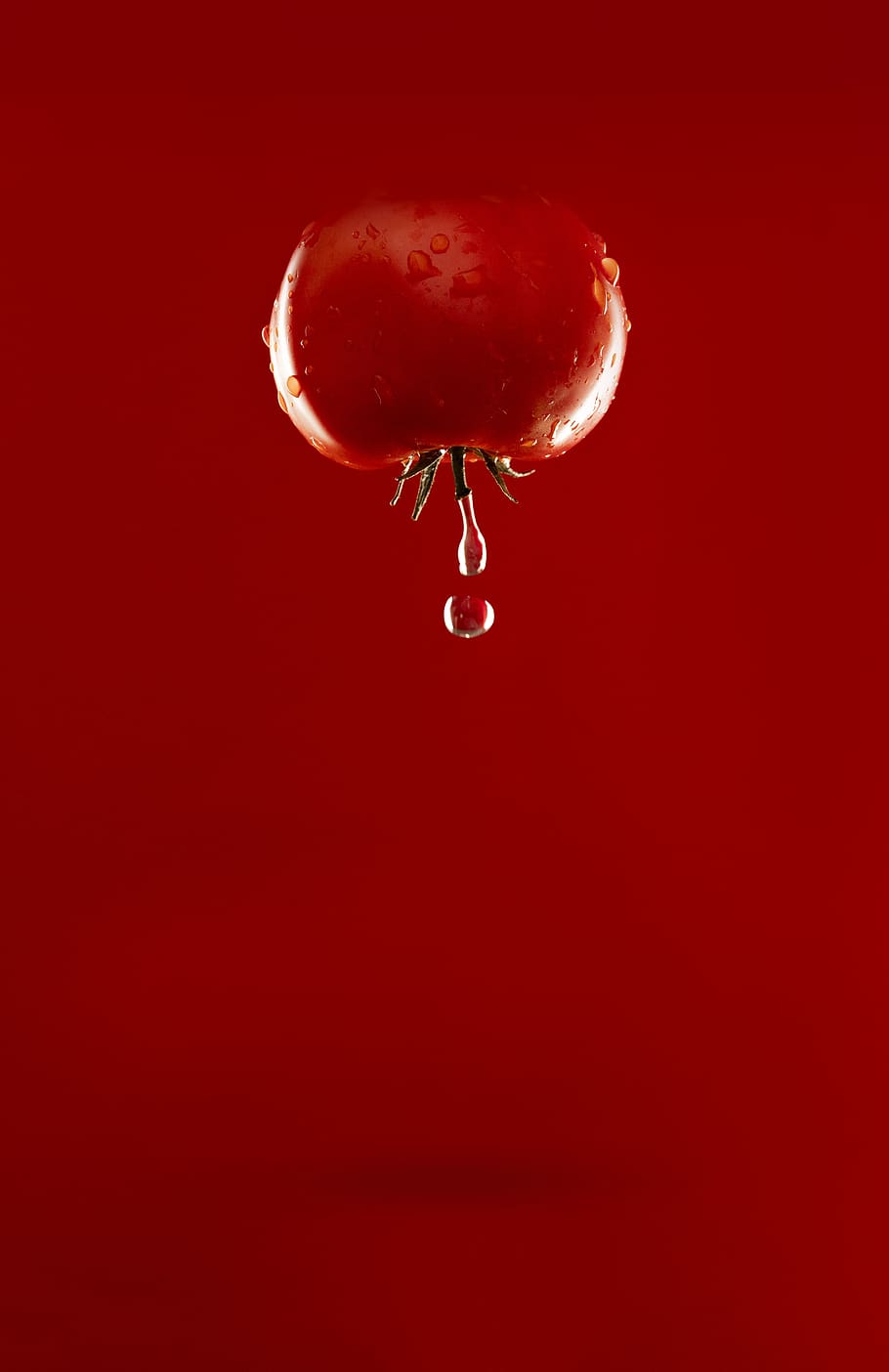 red tomato with water dew, fruit, food and drink, no people, studio shot HD wallpaper
