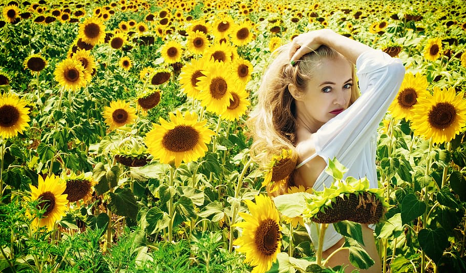 Woman in White Long Sleeve Shirt on Sunflower Field, beautiful HD wallpaper