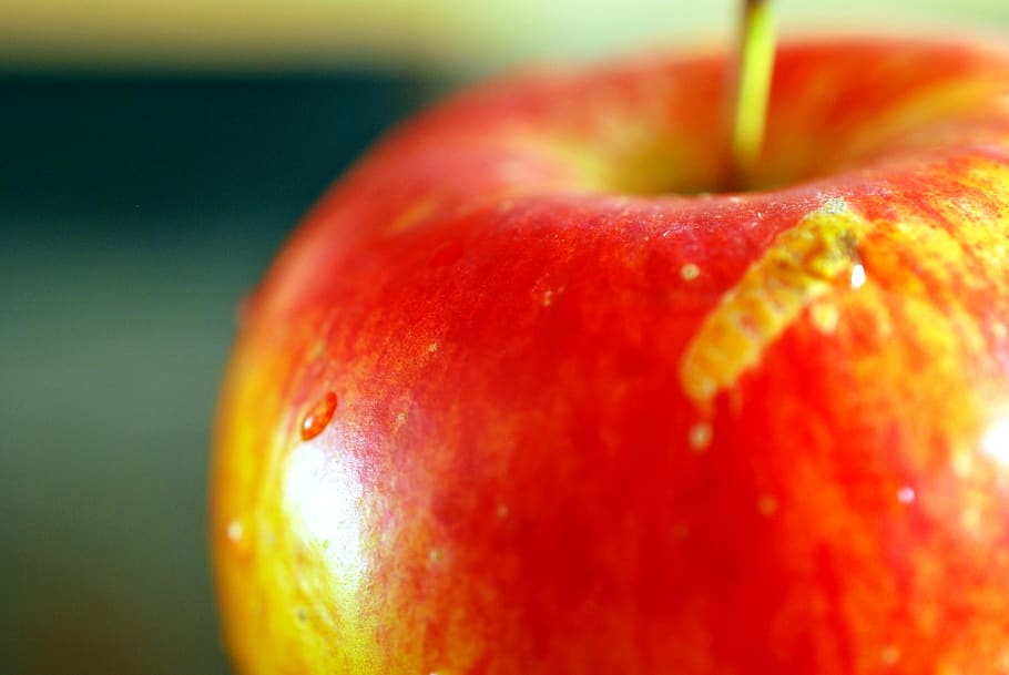 apple, red, fruit, autumn, food and drink, healthy eating, wellbeing HD wallpaper