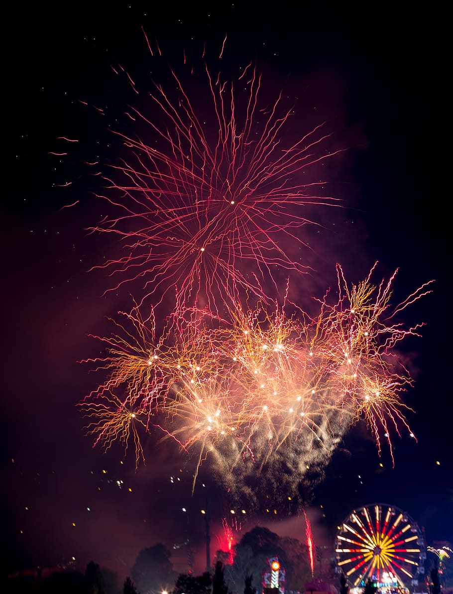australia, canberra, fireworks, night, celebration, firework display HD wallpaper