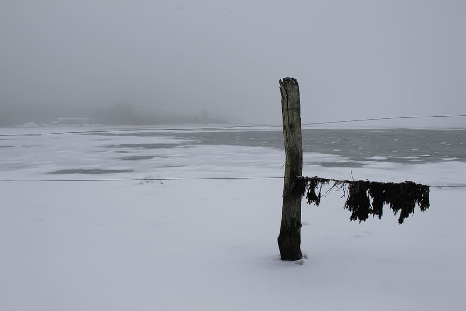 ice, snow, grey, black, white, sky, ocean, water, wood, tranquility HD wallpaper