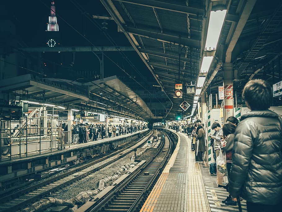 train, terminal, train station, vehicle, transportation, human HD wallpaper