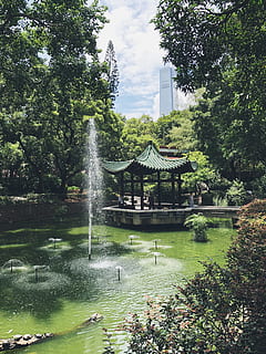 pond and green-leafed trees, water, outdoors, hong kong, kowloon park HD wallpaper
