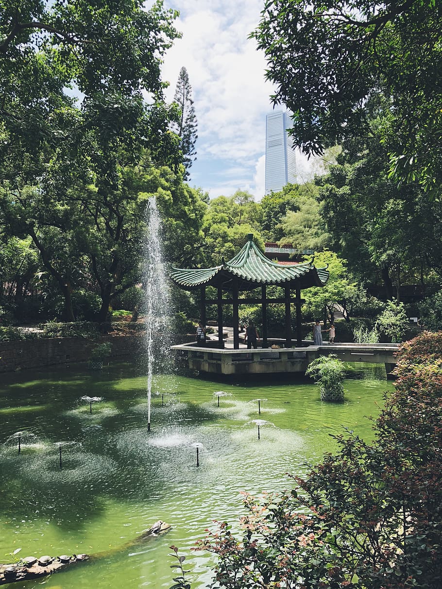 pond and green-leafed trees, water, outdoors, hong kong, kowloon park HD wallpaper