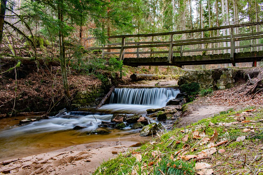 forest, waterfall, landscape, brook, river, mountain, green HD wallpaper