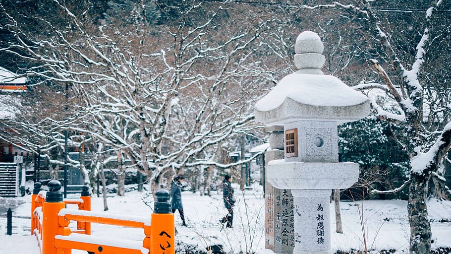 photo of man walking beside tree trunk, snow, park, outdoors HD wallpaper