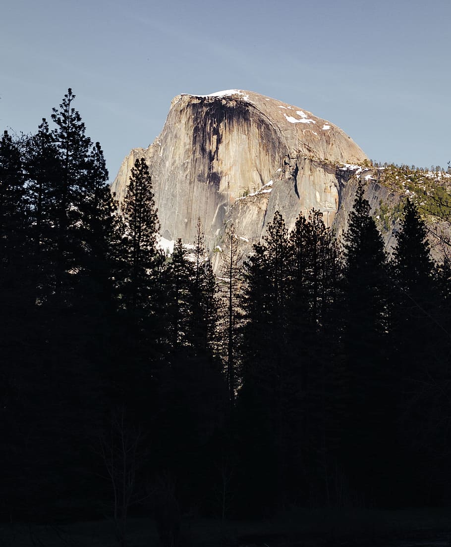 Mountain Peak Through Trees Photo, Backgrounds, Rocks, Earth HD wallpaper
