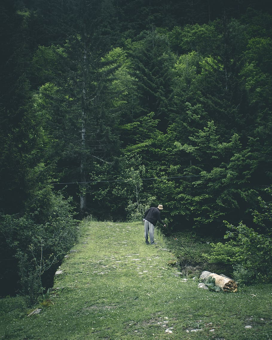 Person Standing In Green Field Surrounded With Trees, environment HD wallpaper
