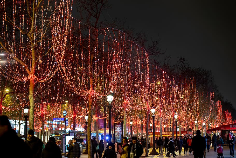 people walking beside red string lights, human, pedestrian, person HD wallpaper