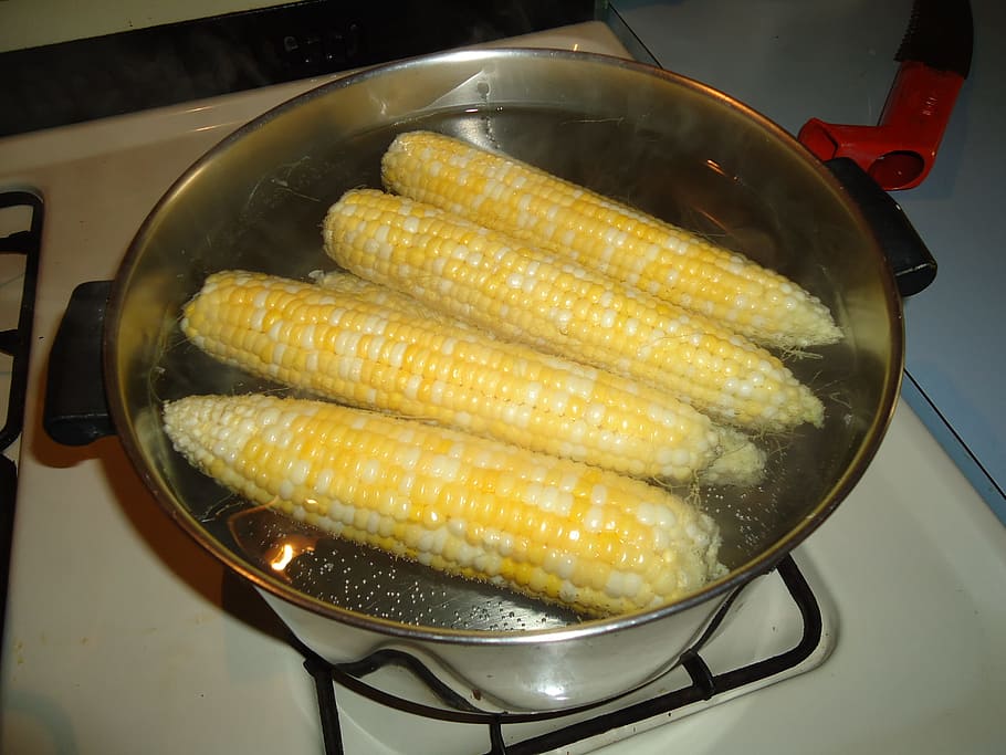 corn, hot, boiling, water, pan, cooking, on, the, cob, stove HD wallpaper