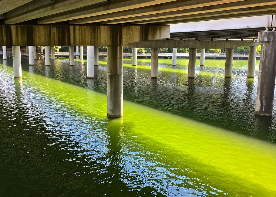 austin, united states, water, green, bridge, texas, pregadio, HD wallpaper