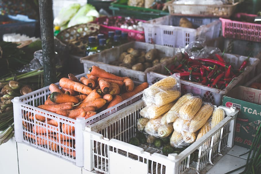 Bunch of Carrots in Crate, Booth, chili, close-up, colorful, colors HD wallpaper