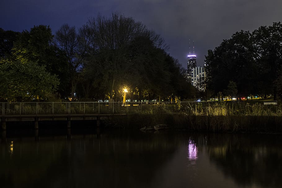 chicago, park, skyline, bridge, trees, forest, pond, natural light HD wallpaper