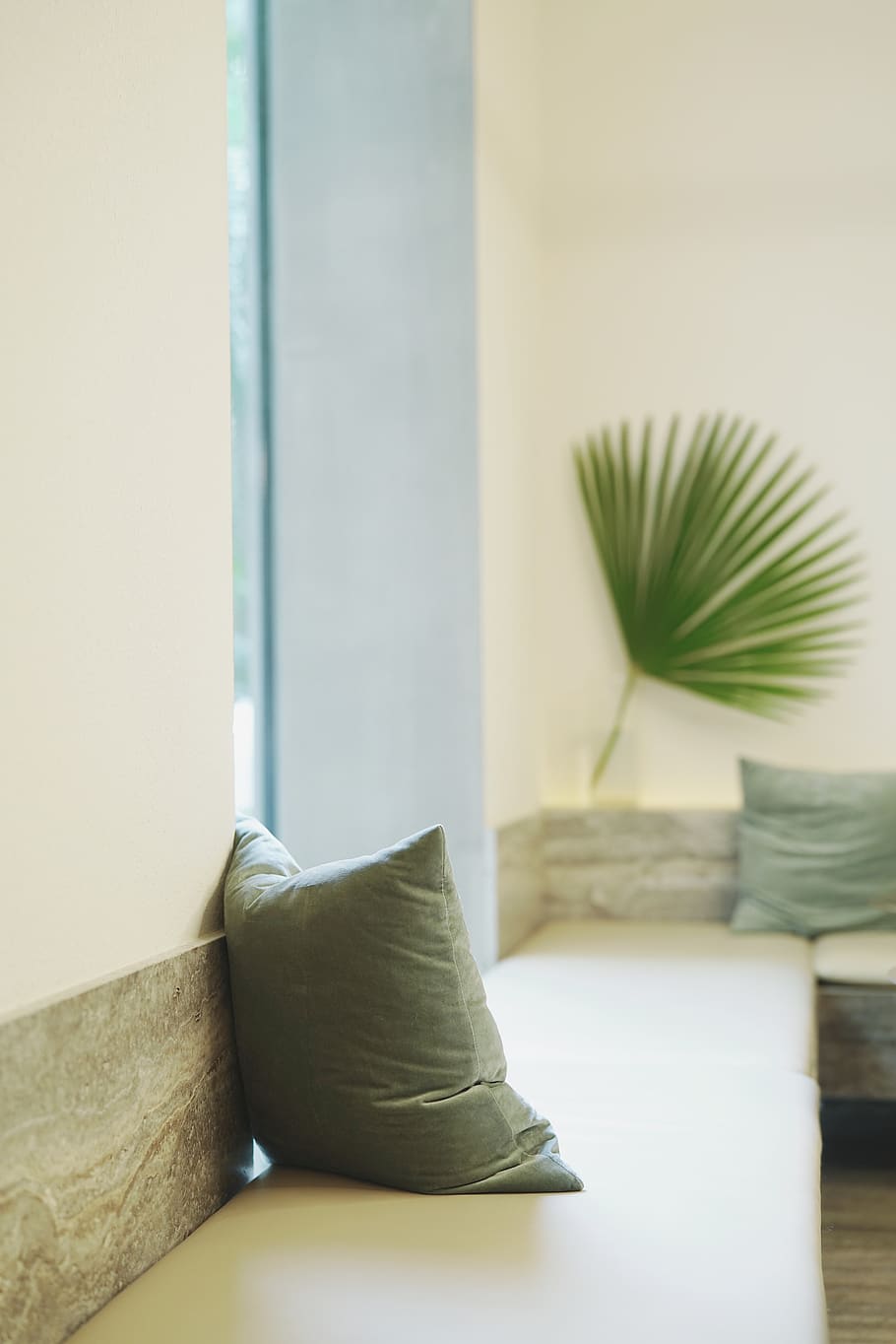gray throw pillow, indoors, furniture, plant, domestic room, home interior HD wallpaper