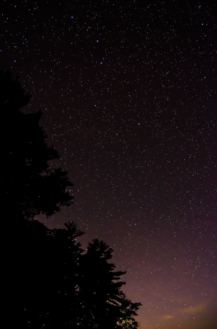 silhouette of trees during nighttime, astrophotography, sky, nature HD wallpaper