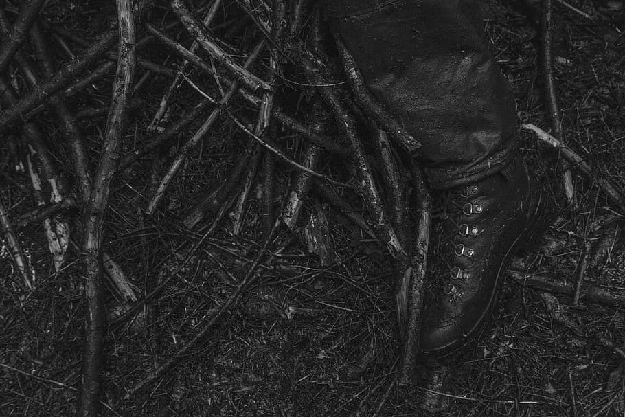 boot, tree, pnw, mud, land, no people, forest, plant, nature HD wallpaper