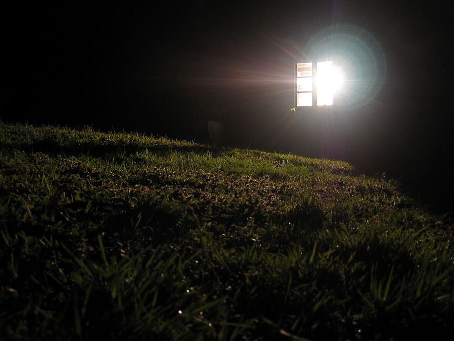 windows, night, light, grass, illuminated, plant, field, land, HD wallpaper
