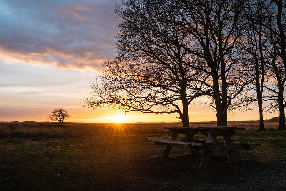 sunset, bench, trees, landscape, nature, sky, clouds, dawn HD wallpaper