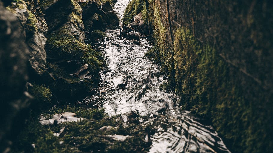 water, river, lake, green, rocks, nature, tree, plant, trunk HD wallpaper
