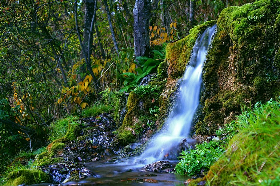 forest, nature, creek, waterfall, moss, green, autumn, landscape HD wallpaper