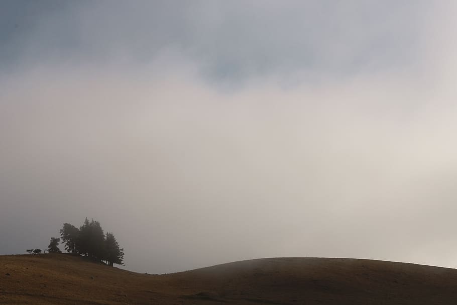 france, murat, hill, clouds, trees, cantal, winter, hiking HD wallpaper