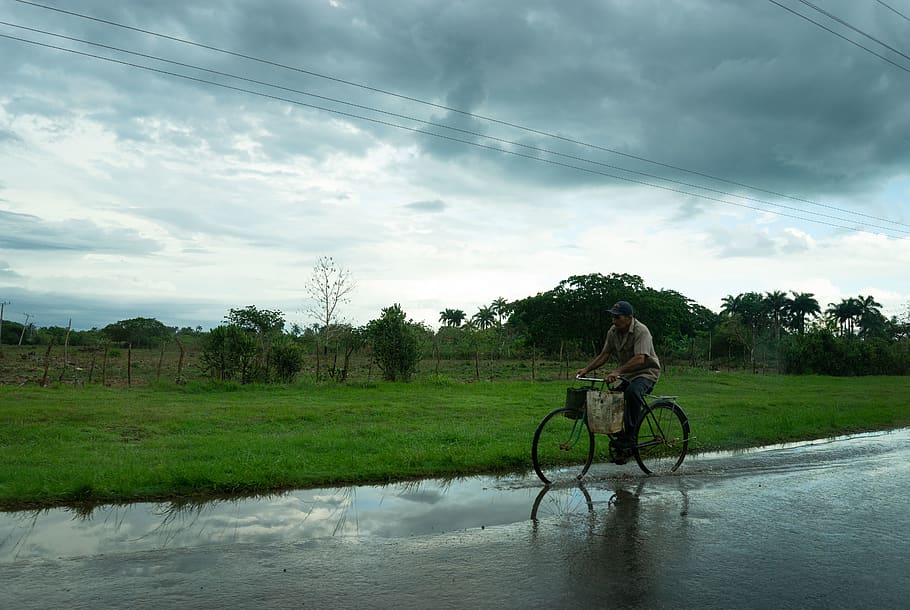 cuba, vinales, viñales valley, transportation, real people HD wallpaper