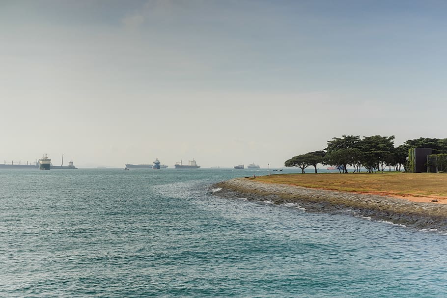 singapore, marina barrage, travel, trees, landscape, nature, HD wallpaper