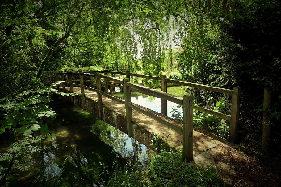whitchurch, bridge, river, stream, hampshire, tree, plant, forest HD wallpaper