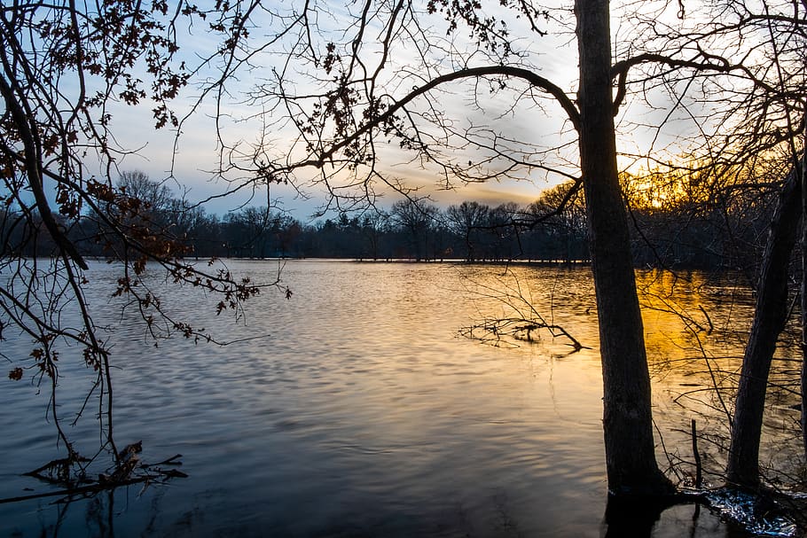 water, tree, lake, tranquility, beauty in nature, tranquil scene HD wallpaper