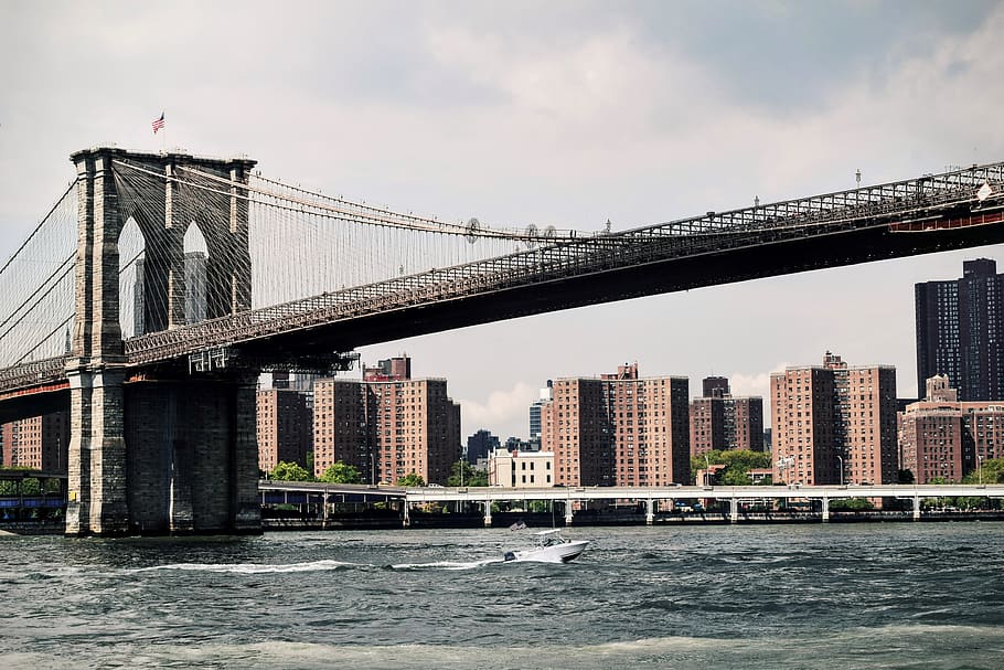 Shallow Focus Photography of Brooklyn Bridge, architecture, buildings HD wallpaper