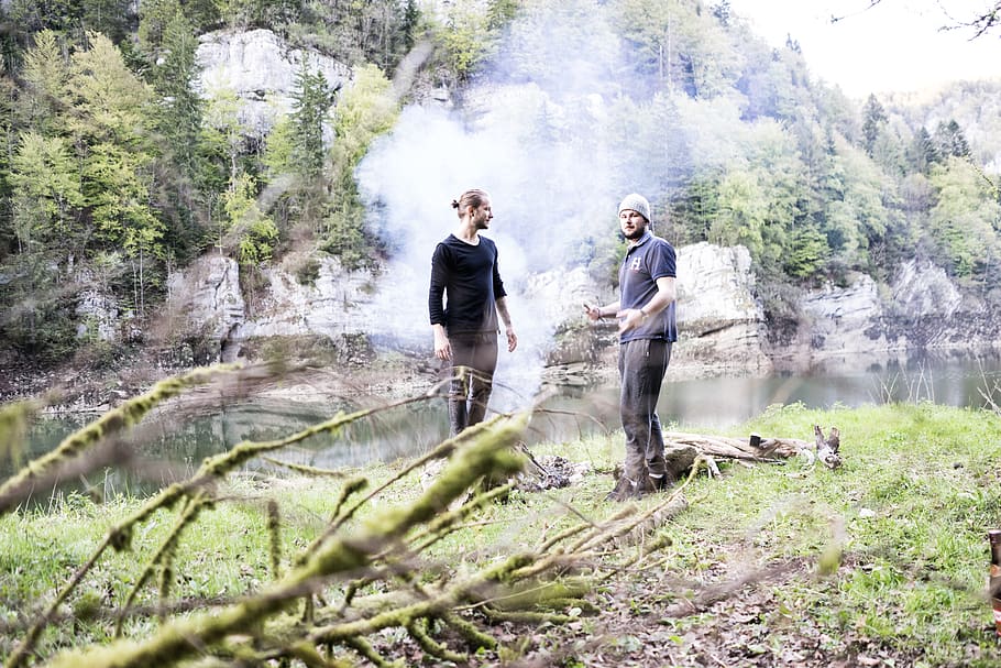 fire, forest, tree, lake, friend, hiking, switzerland, plant HD wallpaper